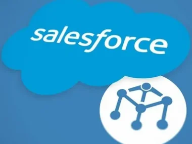 Salesforce Developer Jobs